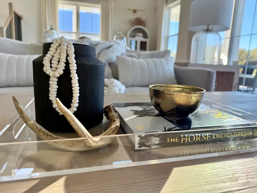 The Gilded Antler Story coffee table vignette